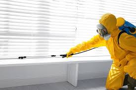 Best Organic or Eco-Friendly Pest Control  in Buckeye, AZ